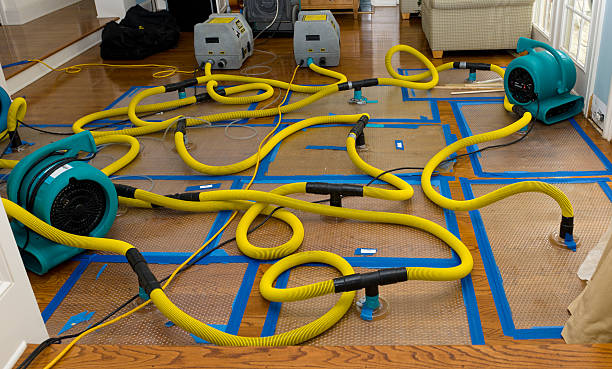 Professional Storm Water Damage Restoration technician working in Potsdam, OH